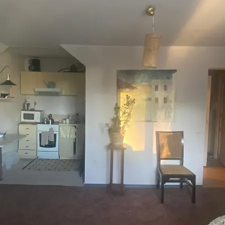 Unique Studio In The Centre Of Lägenhet Tallinn